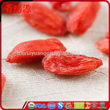 Goji bagas cru goji chinês pianta goji prezzo